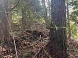 LOT 39 Sandy Hook Road - Photo 4
