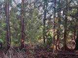 LOT 39 Sandy Hook Road - Photo 6