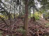 LOT 39 Sandy Hook Road - Photo 8