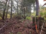 LOT 39 Sandy Hook Road - Photo 9
