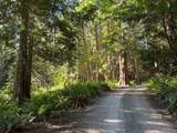 315 Hairy Elbow Road - Photo 17