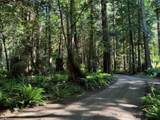 315 Hairy Elbow Road - Photo 18