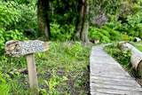 315 Hairy Elbow Road - Photo 20