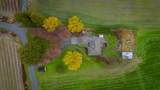 41312 Nicomen Island Trunk Road - Photo 39