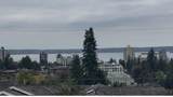 2175 Lawson Avenue - Photo 3