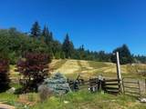 5545 Graham Drive - Photo 35