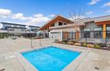 2499 Rabbit Drive - Photo 12