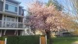 4388 Moncton Street - Photo 33