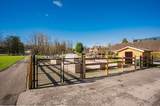 4814 Fernglen Drive - Photo 30