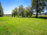 36071 Shore Road - Photo 6
