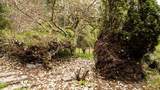 2572 Miles Road - Photo 39