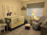 11036 Buckerfield Drive - Photo 15