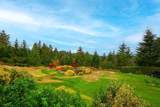 431 Josephine Drive - Photo 38