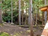 2315 Cheakamus Way - Photo 15