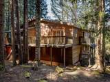 2315 Cheakamus Way - Photo 27