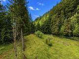 27383 Dogwood Valley Road - Photo 22
