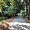 4163 Cedar Drive - Photo 4