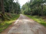 1001 Robson Way - Photo 33