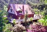 754 Burrill Road - Photo 39