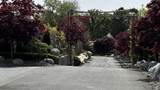 13268 Blundell Rd - Photo 33