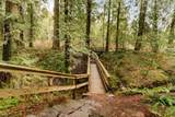 10131 241A Street - Photo 38