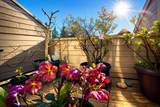 8140 Colonial Drive - Photo 14