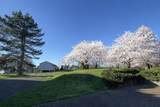 8140 Colonial Drive - Photo 19