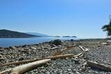 5481 Eureka Road - Photo 39