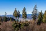 37885 Bakstad Road - Photo 13