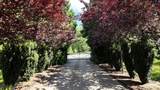 18640 32 Avenue - Photo 2