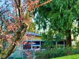 990 Balsam Street - Photo 4