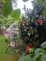 7566 Dunsmuir Street - Photo 32