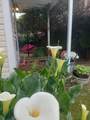 7566 Dunsmuir Street - Photo 36