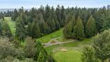 674 Blue Mountain Street - Photo 20