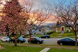 3120 Turner Street - Photo 8