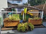 3712 Dunsmuir Way - Photo 27