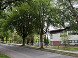 1166 16th Avenue - Photo 8