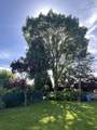 45946 Silver Avenue - Photo 4