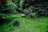 19465 Mcneil Road - Photo 6
