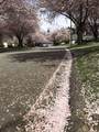 2333 150B Street - Photo 38
