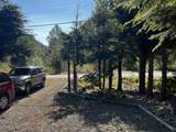 14701 Alpine Boulevard - Photo 3
