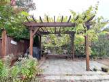 11222 243B Street - Photo 35