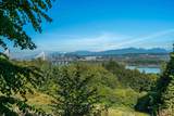 11455 154A Street - Photo 32