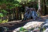 1302 Adams Road - Photo 34