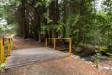 9540 Pemberton Portage Road - Photo 24