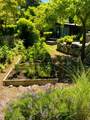 5817 Eagle Island - Photo 31