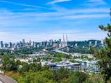 10956 128A Street - Photo 39