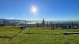 1435 Shay Street - Photo 38