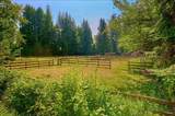 21810 132 Avenue - Photo 27