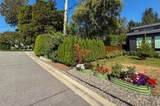 WITHHELD Whithheld Road - Photo 19